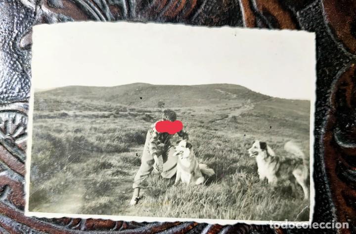 Photographie ancienne: Antigua fotograf&iacute;a de luco (luko) Arrazua-Ubarrundia. &Aacute;lava.vitoria. con los perros. Foto a&ntilde;os 40.