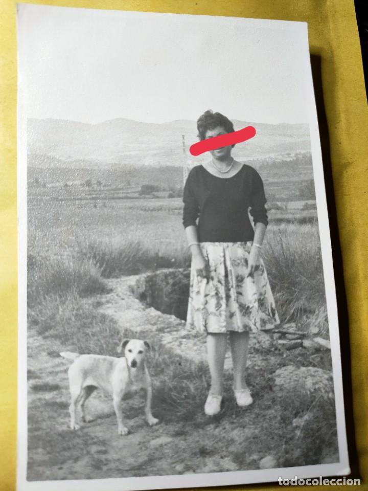 Alte Fotografie: Antigua fotograf&iacute;a. Se&ntilde;orita con el perro. Foto a&ntilde;os 60/70.