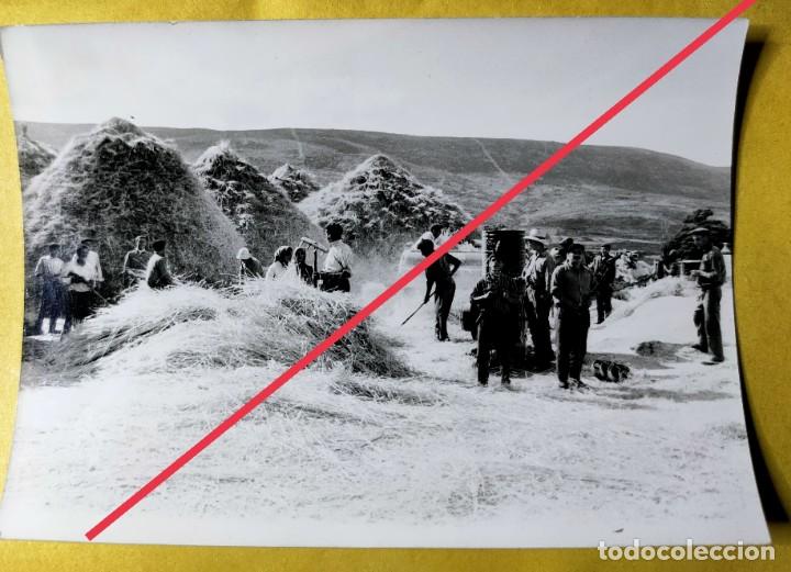 Fotografia antica: Antigua fotograf&iacute;a. Trabajadores de la paja. Foto a&ntilde;os 50.