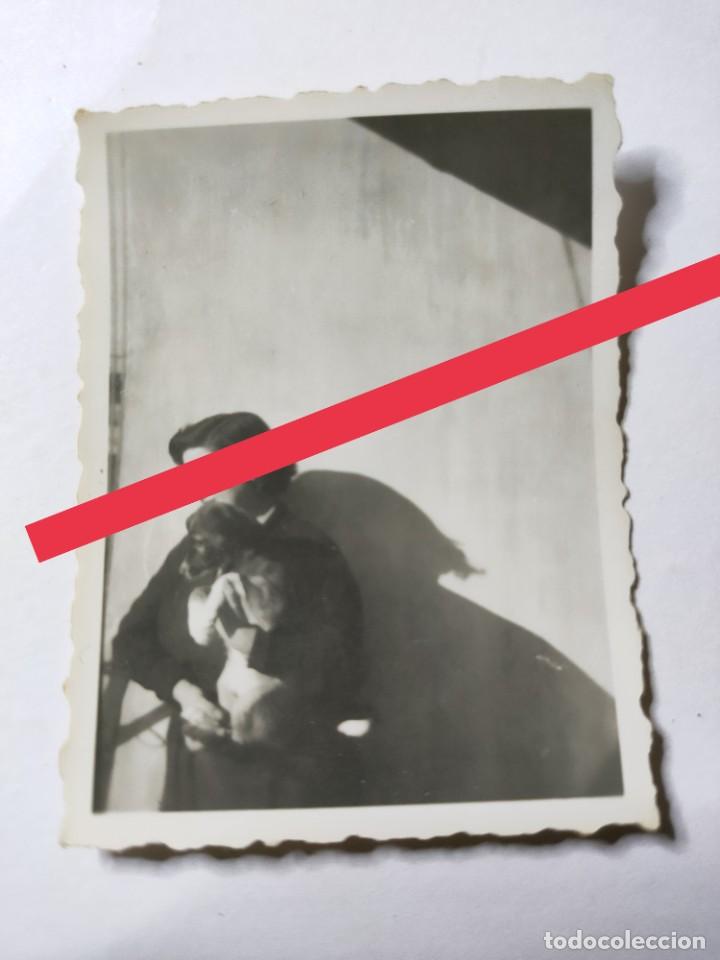 Fotograf&iacute;a antigua: Antigua fotograf&iacute;a. perro. foto a&ntilde;os 40/50.
