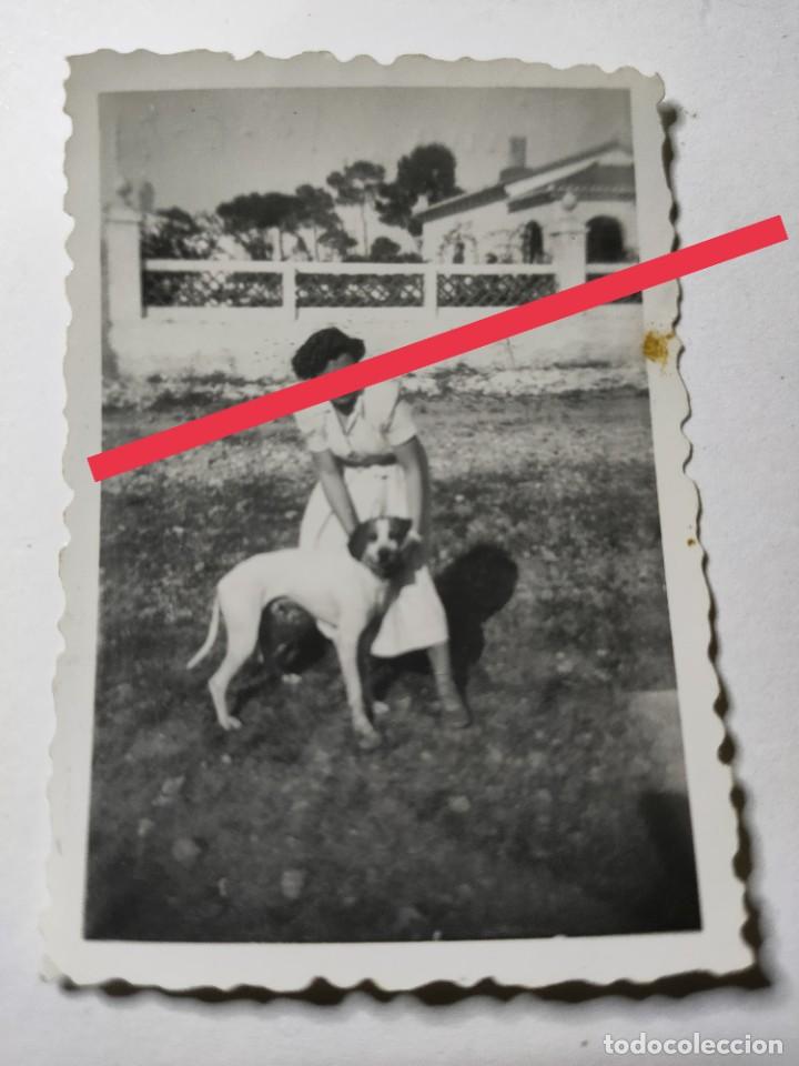 Fotograf&iacute;a antigua: Antigua fotograf&iacute;a. perro. foto a&ntilde;os 40/50.