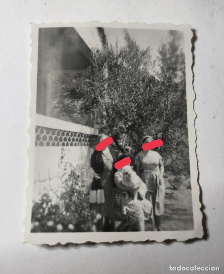 Photographie ancienne: Antigua fotograf&iacute;a. con el perro. foto a&ntilde;os 40/50.