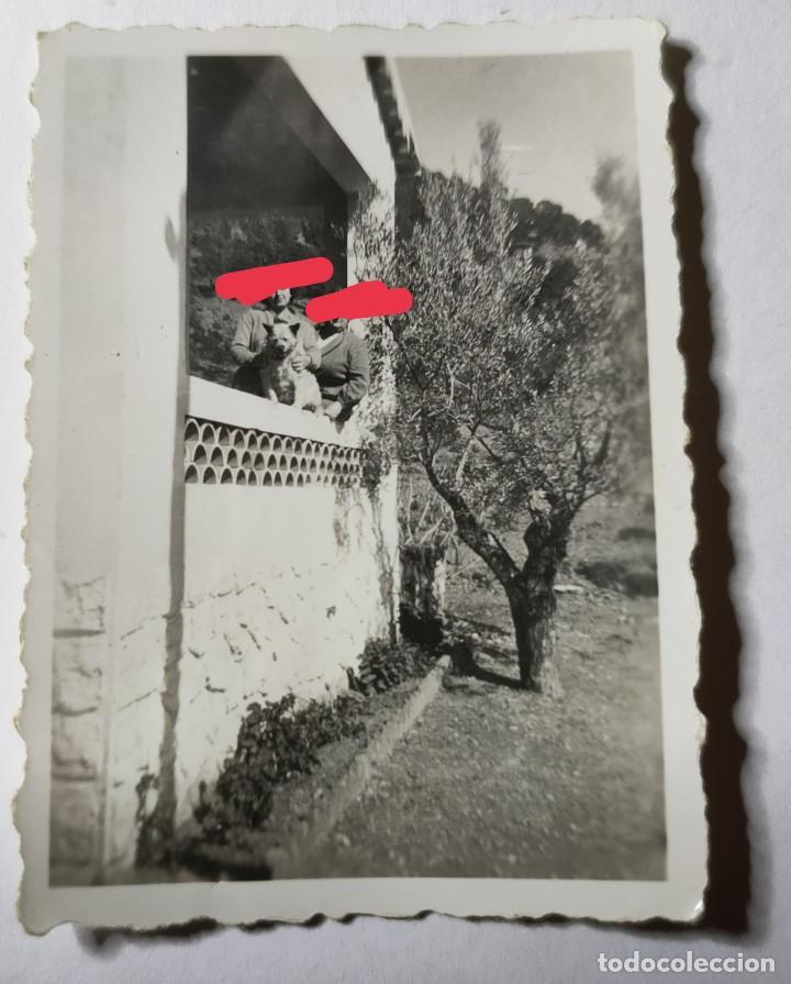Photographie ancienne: Antigua fotograf&iacute;a. con el perro. foto a&ntilde;os 40/50.