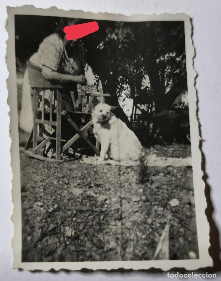 Antique Photography: Antigua fotograf&iacute;a. con el perro. foto a&ntilde;os 40/50.