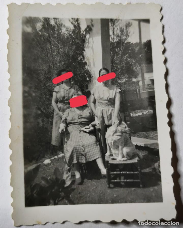 Photographie ancienne: Antigua fotograf&iacute;a. con el perro. foto a&ntilde;os 40/50.