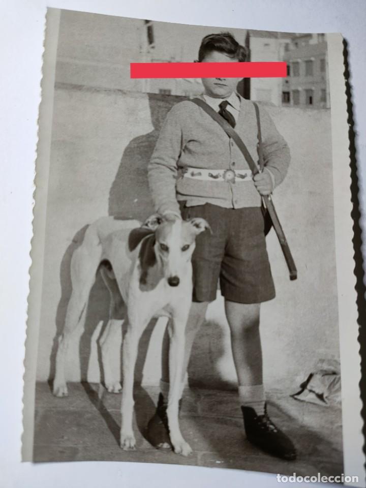 Fotografia antica: Antigua fotograf&iacute;a. Ni&ntilde;o con perro galgo. Foto a&ntilde;os 60.