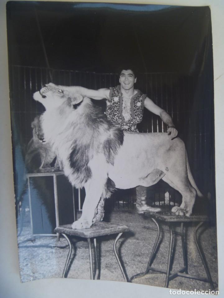 el circo: foto original del domador de leones a - Buy Photomechanic  photographs on todocoleccion