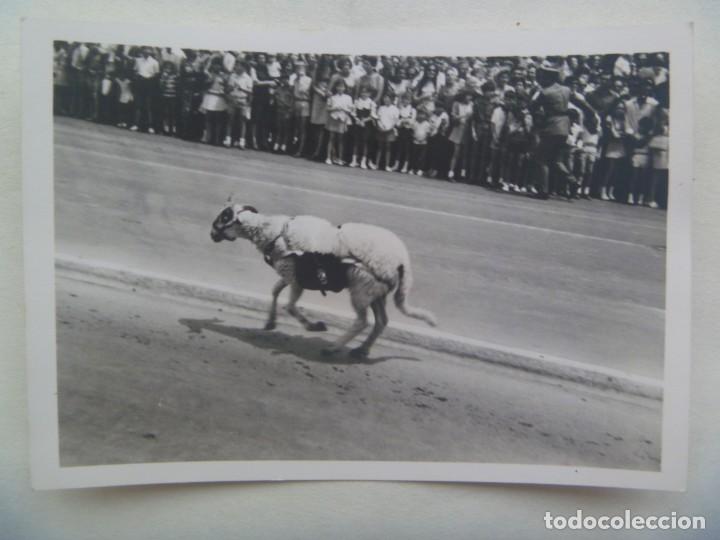 Fotograf&iacute;a antigua: LA LEGION : FOTO DE LA CABRA LEGIONARIA EN DESFILE