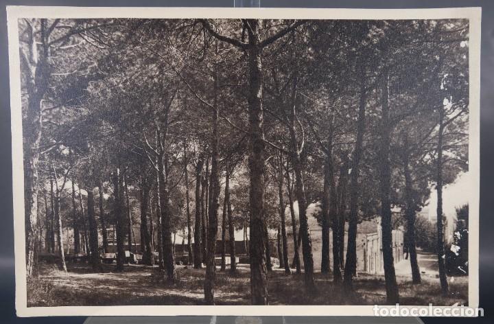 Photographie ancienne: Fotograf&iacute;a Paisaje &aacute;rboles con casas a&ntilde;os 30-40