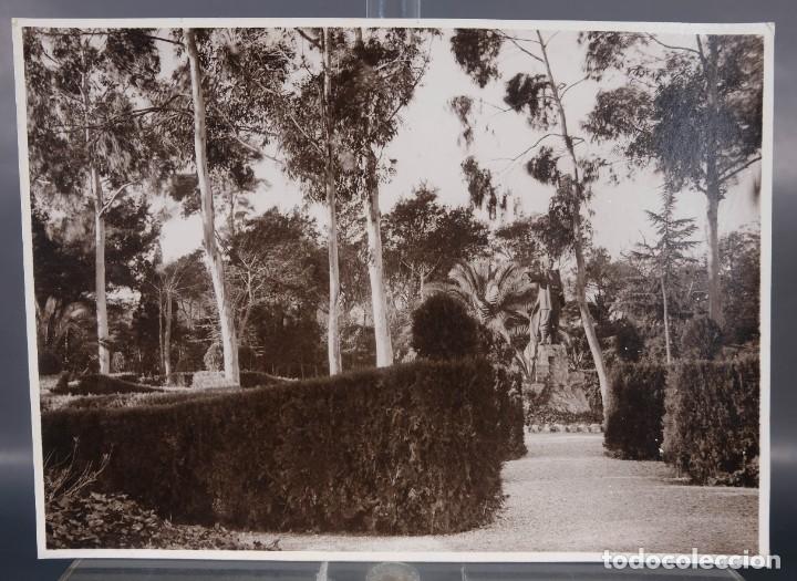Photographie ancienne: Fotografia Jard&iacute;n a&ntilde;os 30-40
