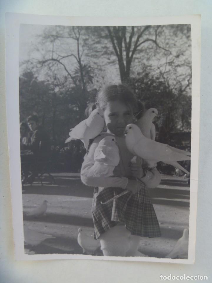 Antique Photography: FOTO DE NI&Ntilde;A CON PALOMAS, PLAZA DE AMERICA DEL PARQUE DE MARIA LUISA DE SEVILLA