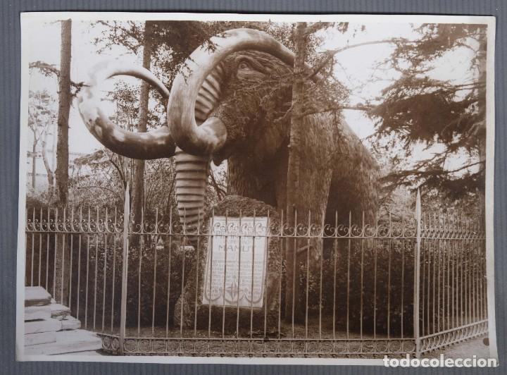 Fotografia antiga: Fotograf&iacute;a Escultura Mamut del parque de la Ciutadella a&ntilde;os 30-40
