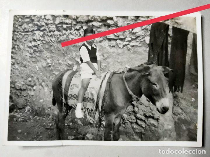 Fotografia antica: Antigua fotograf&iacute;a. Ni&ntilde;o montado en el borrico. A&ntilde;os 40/50..