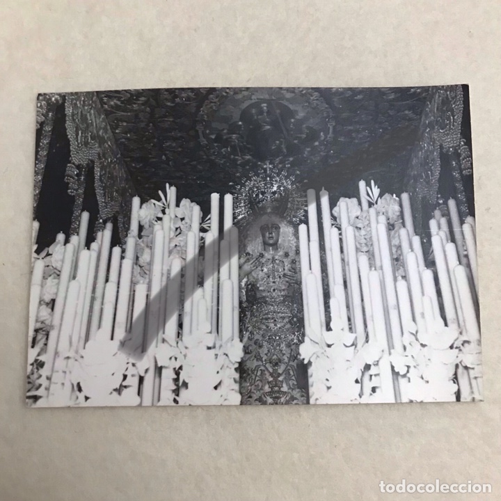 Fotografia antica: SEMANA SANTA SEVILLA - FOTOGRAF&Iacute;A VIRGEN MACARENA