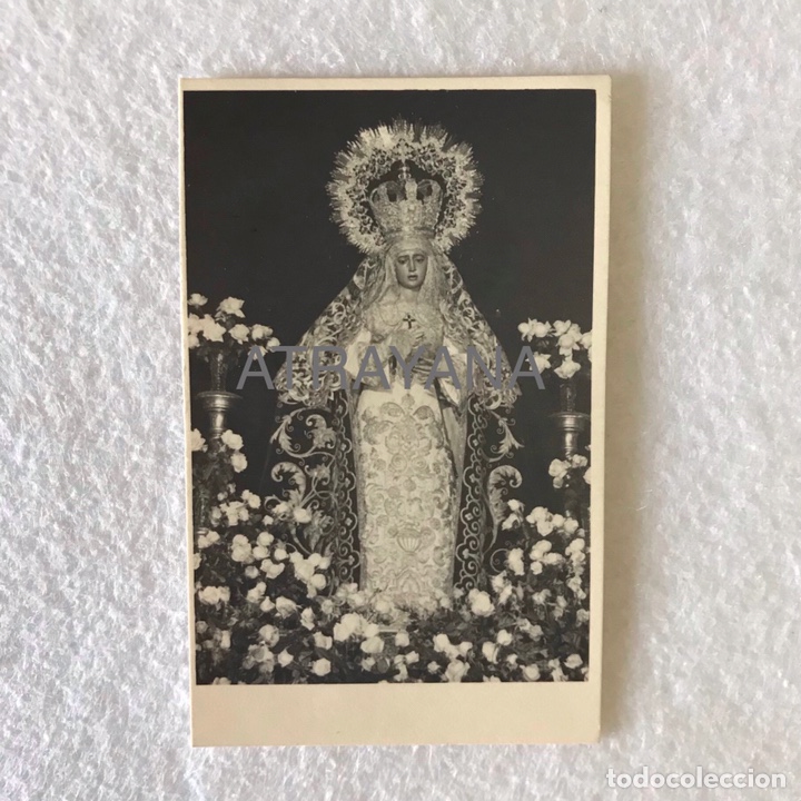 Alte Fotografie: SEMANA SANTA SEVILLA - ANTIGUA FOTOGRAF&Iacute;A VIRGEN DE LA AMARGURA