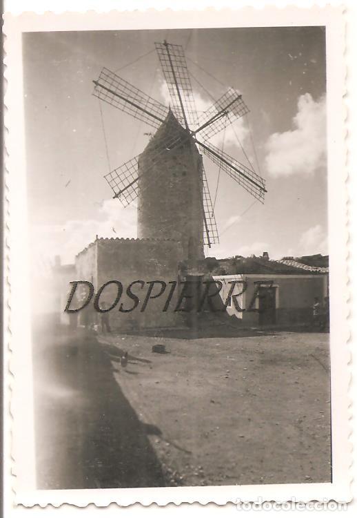 Fotograf&iacute;a antigua: ANTIGUA FOTO, MOLINO DE VIENTO-MALLORCA ???, A&Ntilde;OS 60 ???, 6X8,5