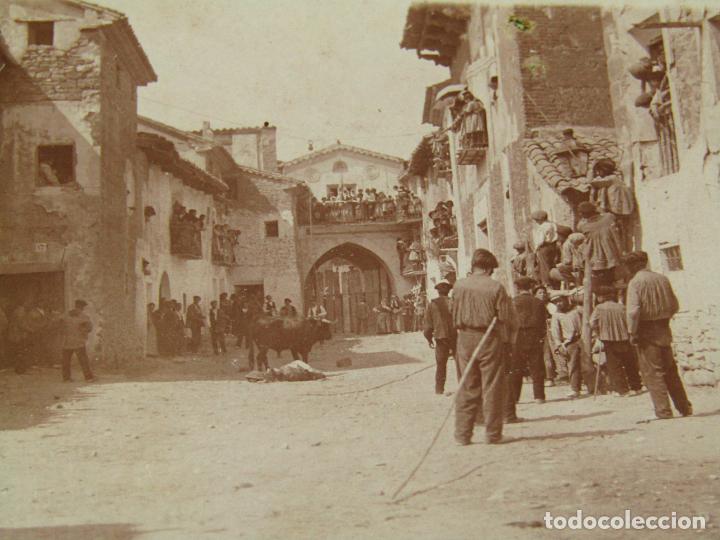 Photographie ancienne: Antigua Fotograf&iacute;a con Vaquilla en Alg&uacute;n Pueblo de Espa&ntilde;a, Posiblemente de la Comunidad Valenciana