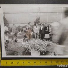 Fotografía antigua: LA REINA DE ESPAÑA (SOFÍA) VISITA UN JARDÍN BOTÁNICO / FOTO ANTIGUA BLANCO Y NEGRO / ORIGINAL / 1972. Lote 313166653