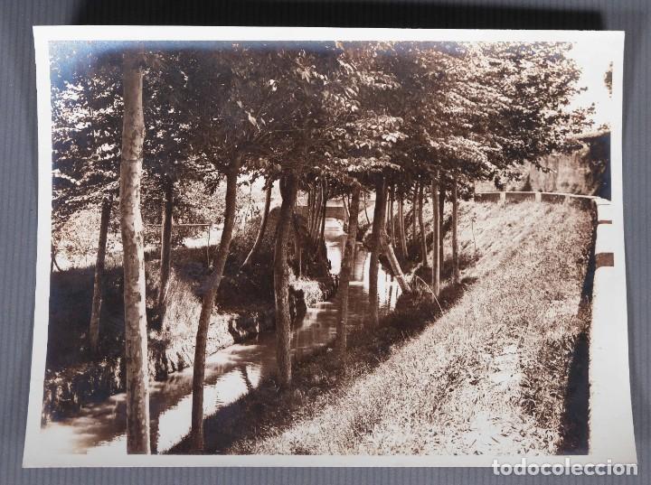 Alte Fotografie: Fotograf&iacute;a Paisaje r&iacute;o con arboles a&ntilde;os 20-30