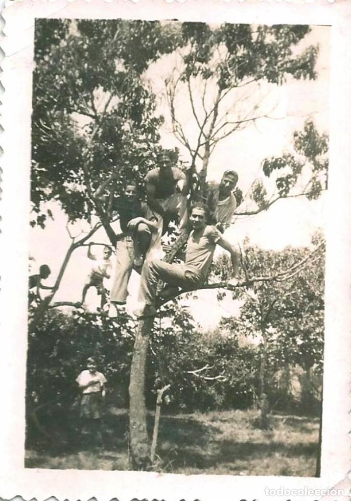 Fotograf&iacute;a antigua: X1647 J&oacute;venes hombres trepados en el &aacute;rbol y ni&ntilde;os imit&aacute;ndoles - Foto 9x6cm 1940'