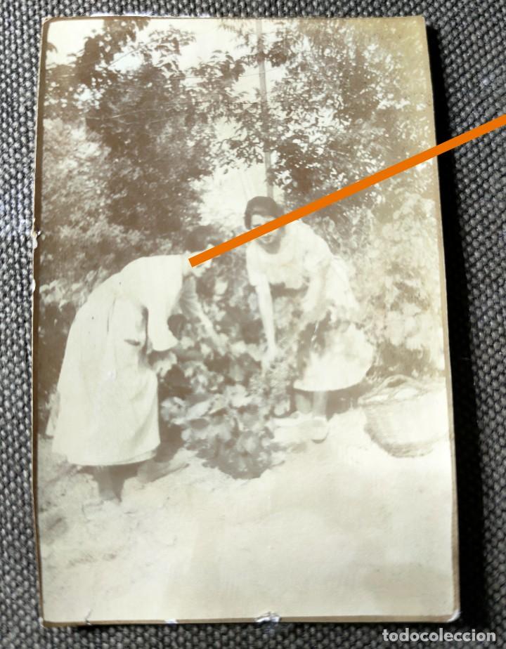 Fotografia antica: Antigua fotograf&iacute;a. Se&ntilde;orita en el jard&iacute;n. A&ntilde;os 20/30.