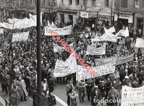 Alte Fotografie: MADRID, 1979, MANIFESTACION DE AGRICULTORES Y GANADEROS, COAG, 24X18 CMS