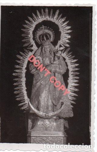 Fotografia antiga: ANTIQUISIMA FOTOGRAFIA DE NUESTRA SE&Ntilde;ORA DEL AMPARO, SEVILLA, FOT.FRANZIS, 55X85MM