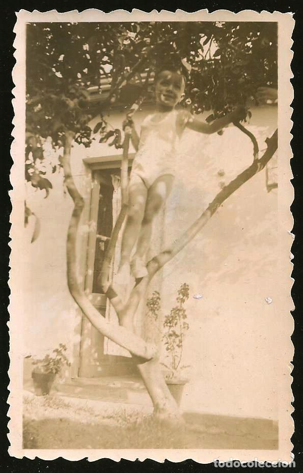 Fotografia antiga: 2045 Bonito ni&ntilde;o en calzones sobre el &aacute;rbol - Foto 11x7cm 1938