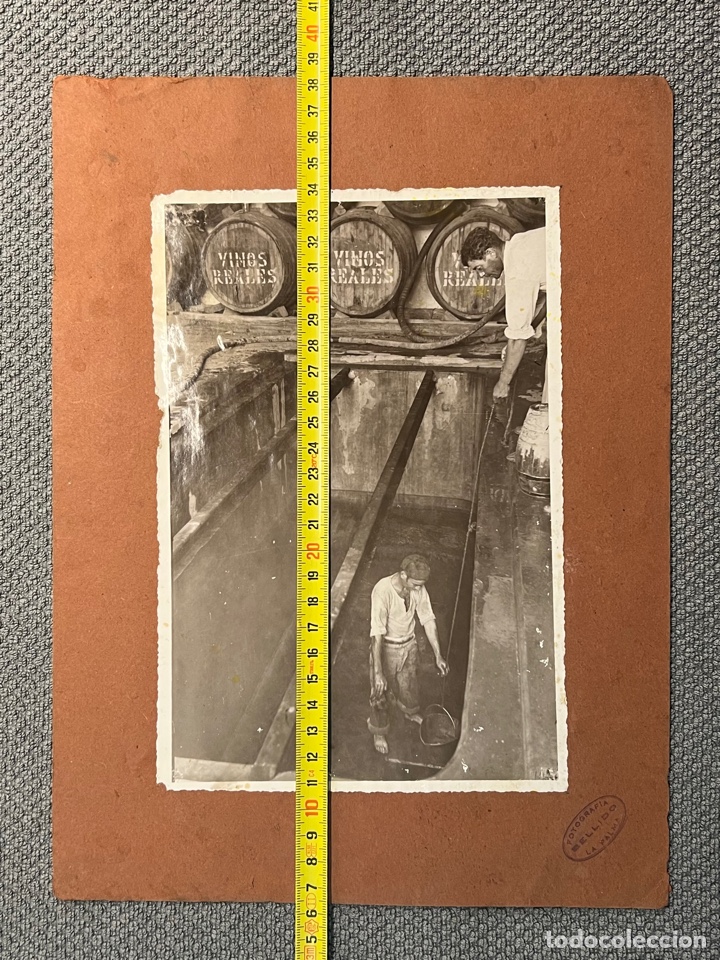 Fotografia antiga: BODEGAS, VINOS, LA PALMA.. Islas Canarias. Bodegas Reales.. fotograf&iacute;a Bellido (h.1945?)