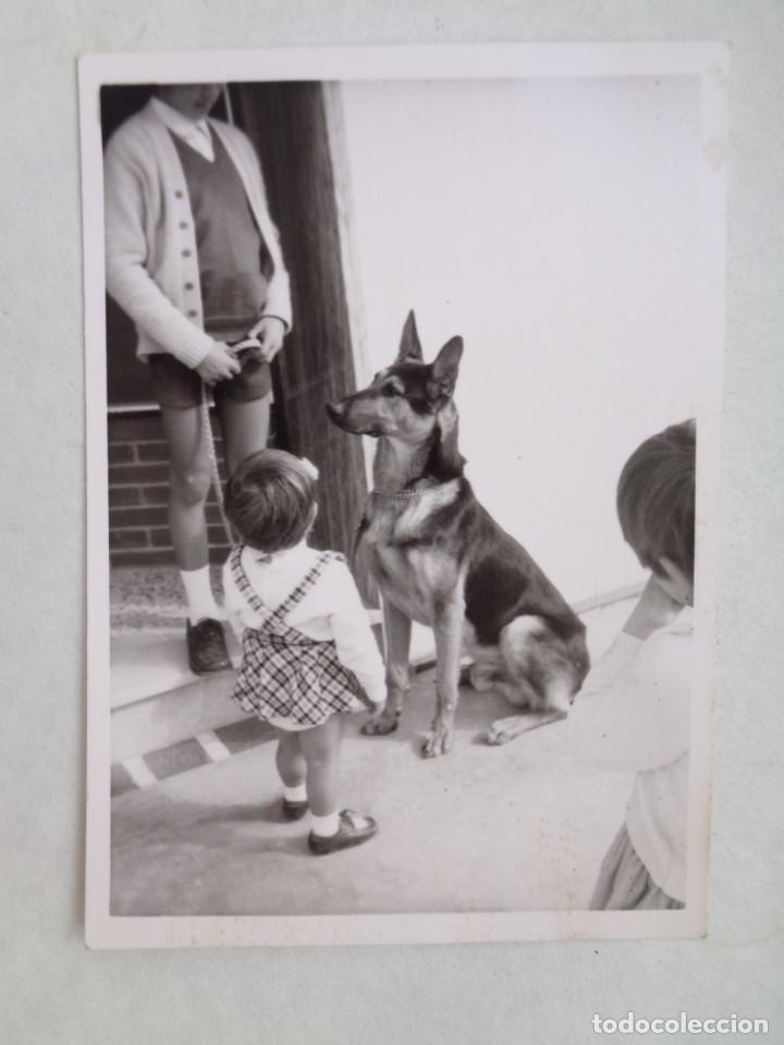 Fotograf&iacute;a antigua: FOTO DE NI&Ntilde;OS Y PERRO PASTOR ALEMAN