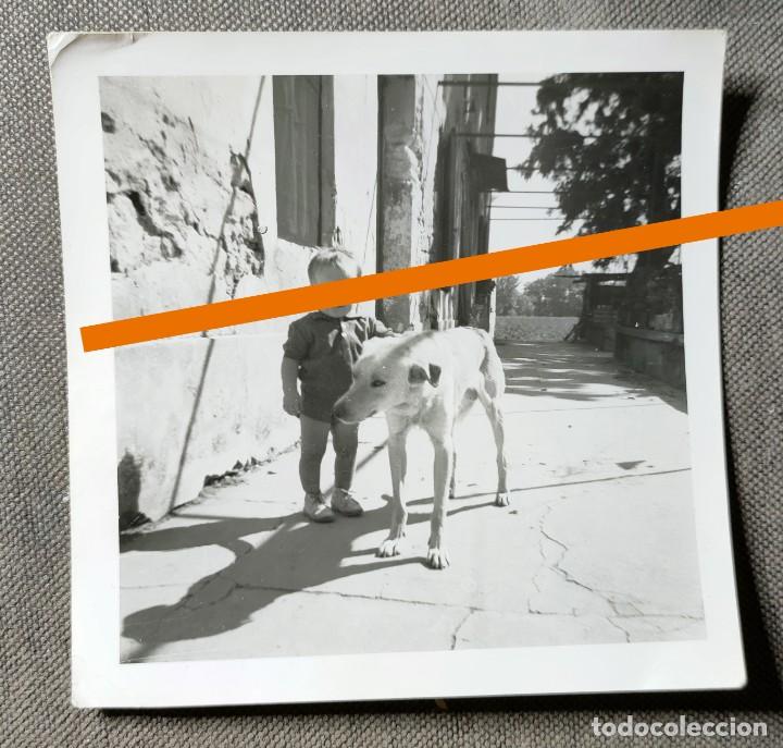 Antique Photography: Antigua fotograf&iacute;a. ni&ntilde;o con el perro. Foto a&ntilde;os 50.