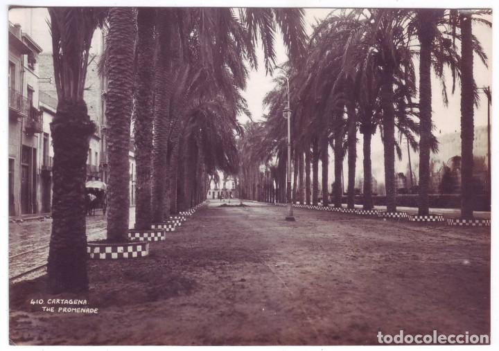 Fotograf&iacute;a antigua: Fotograf&iacute;a antigua de Cartagena (Murcia): El Paseo (A&ntilde;os 20-30)