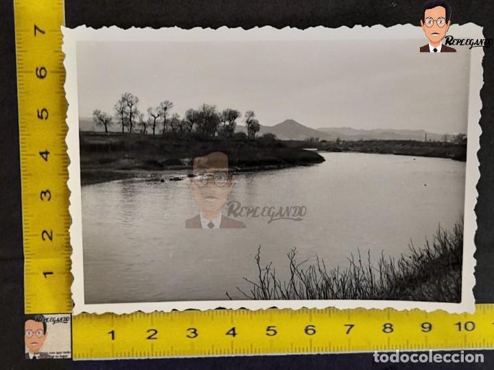 Antique Photography: RIO LLOBREGAT CERCA DE ERMITA DE BELLVITGE EN L'HOSPITALET / &Aacute;RBOL / FOTO ANTIGUA CATALUNYA A&Ntilde;OS 50