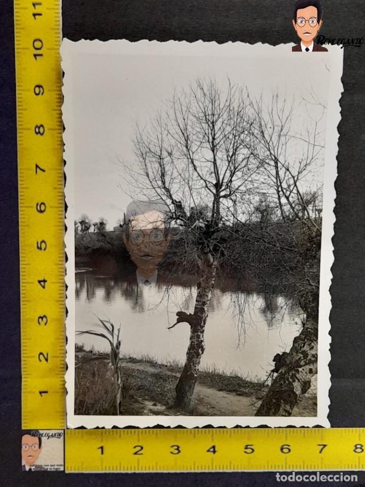 Fotografia antiga: RIO LLOBREGAT CERCA DE ERMITA DE BELLVITGE EN L'HOSPITALET / &Aacute;RBOL / FOTO ANTIGUA CATALUNYA A&Ntilde;OS 50