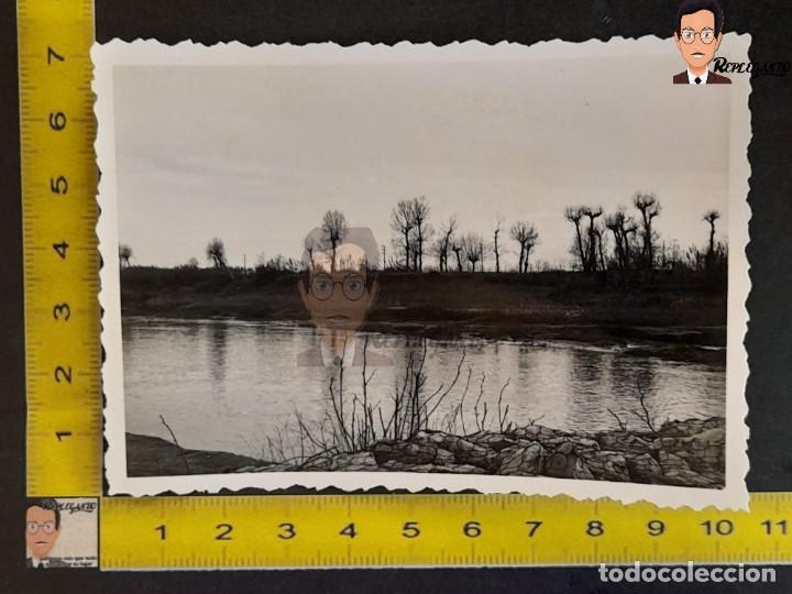 Antique Photography: RIO LLOBREGAT A SU PASO POR L'HOSPITALET / &Aacute;RBOL / FLORA / FOTO ANTIGUA CATALUNYA A&Ntilde;OS 50