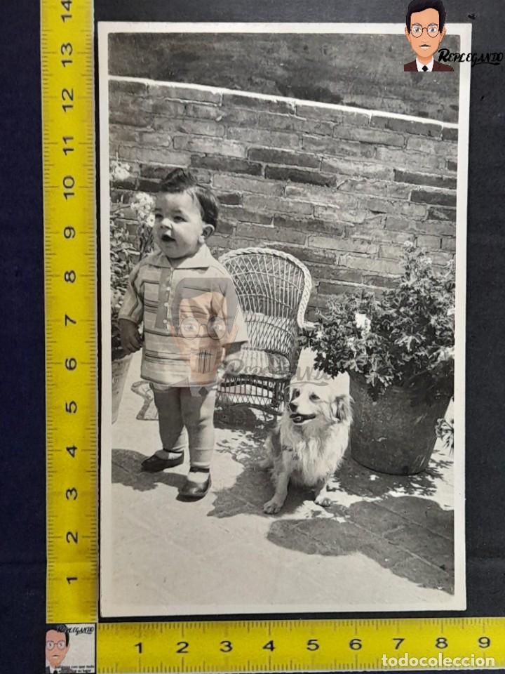 Alte Fotografie: NI&Ntilde;O CON SU PERRO / SILLA MIMBRE / FOTO POSTAL ANTIGUA - A&Ntilde;OS 50/60 - NI&Ntilde;O SONRIENDO FLORES