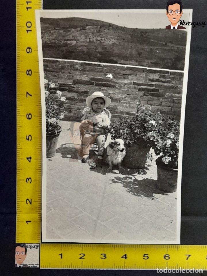 Alte Fotografie: NI&Ntilde;O CON SU PERRO / SILLA MIMBRE / FOTO ANTIGUA A&Ntilde;OS 50/60 - NI&Ntilde;O SONRIENDO MACETAS FLORES