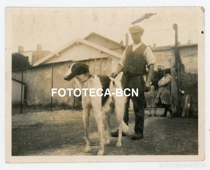 Antique Photography: FOTO ORIGINAL PERSONA CON PERRO GALGO A&Ntilde;OS 30