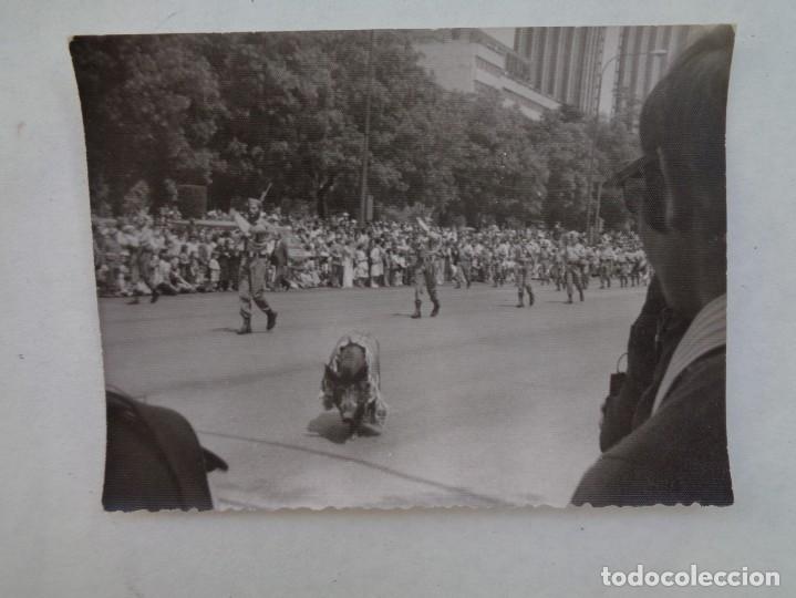 Fotograf&iacute;a antigua: LA LEGION : FOTO DE LEGIONARIOS DESFILANDO Y JABALI DE MASCOTA