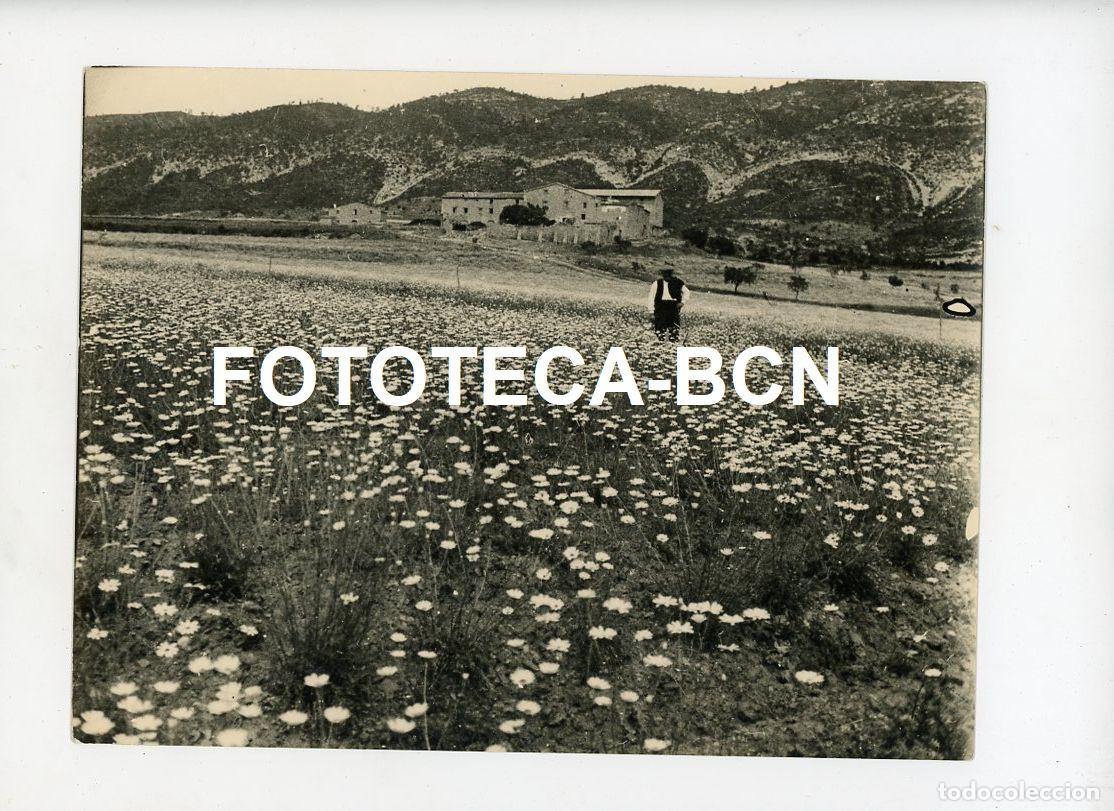 Antique Photography: FOTO CAMPO DE CULTIVO CAMPESINO MASIA CATALUNYA PRINCIPIOS SIGLO XX - SELLO FRANCISCO X RAFOLS