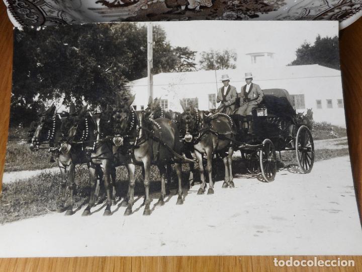 Alte Fotografie: ANTIGUA FOTOGRAFIA COCHE DE MULAS? FOTO OLMEDO SEVILLA A&Ntilde;OS 20.30?