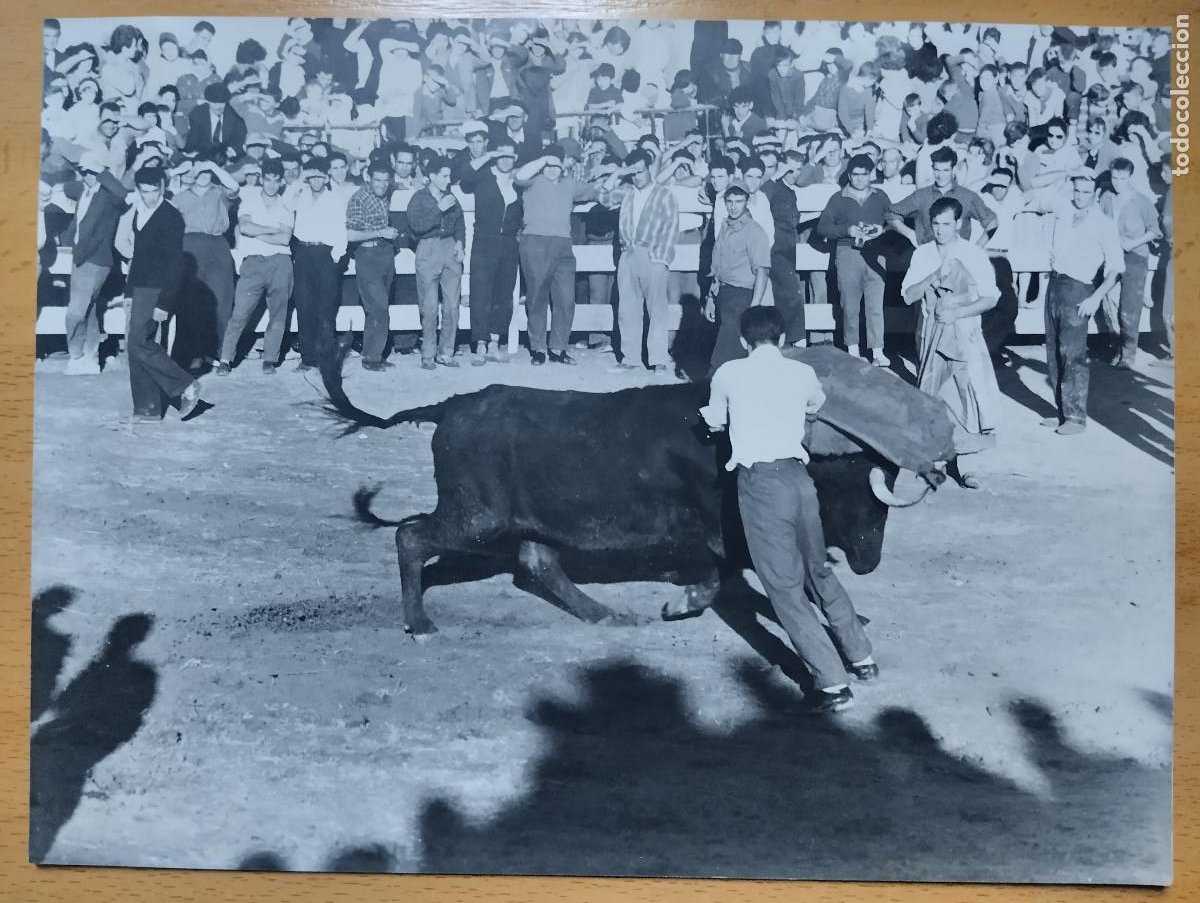 foto . sadaba zaragoza. fiestas vaquillas plaza - Compra venta en  todocoleccion