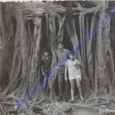 Fotografía antigua: FOTOGRAFÍA. NIÑOS Y JARDÍN BOTÁNICO DE LA OROTAVA. TENERIFE. AÑO 1966. MEDIDAS 10 X 7,5 CM. Lote 401347854