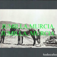 Fotografía antigua: JUMILLA, MURCIA. ESCENA EN EL CAMPO. NEGATIVO ORIGINAL DE UNA FOTOGRAFÍA ANTIGUA.