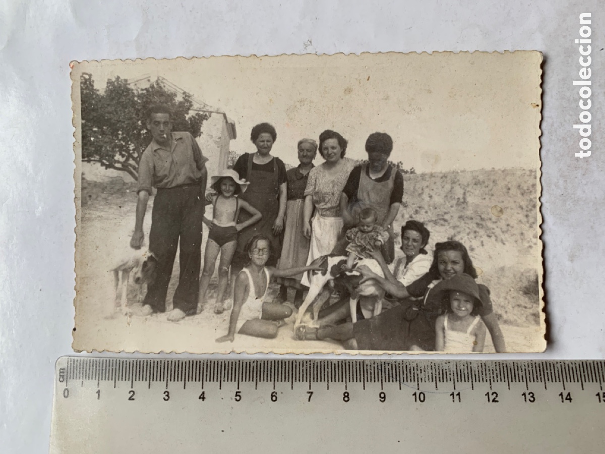 Fotografia antica: FOTO. D&Iacute;A DE DISFRUTE EN EL CAMPO Y TAMBI&Eacute;N CON LOS PERROS. FOT&Oacute;GRAFO?.