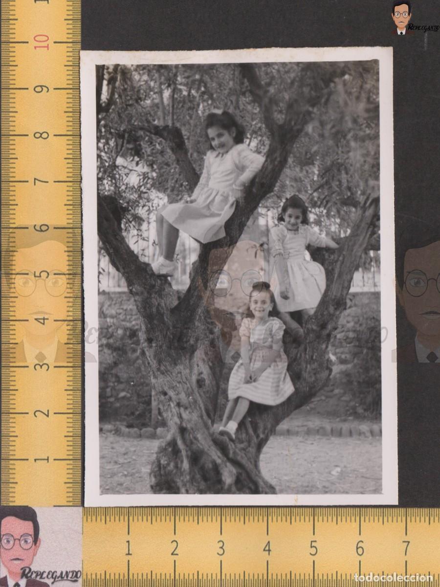 Fotografia antiga: TRES NI&Ntilde;AS POSAN EN &Aacute;RBOL - FOTO ANTIGUA A&Ntilde;O 1942 - VALL&Eacute;S ORIENTAL CATALUNYA BCN