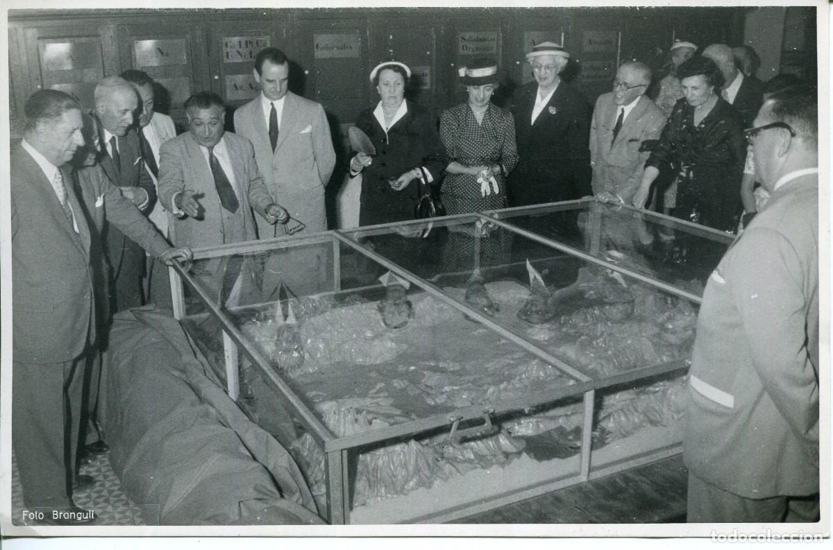 Fotografia antica: VILLAFRANCA DEL PANED&Eacute;S-ESTACI&Oacute;N ENOL&Oacute;GICA-VISITA CONSEJO CAJA DE PENSIONES(CAIXABANK) 1953-BRANGULI