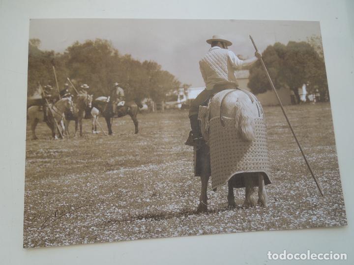 Fotograf&iacute;a antigua: C. NU&Ntilde;EZ - FOTOGRAF&Iacute;A TAURINA - CABALLO Y JINETE - MIDE 28X20 CM.