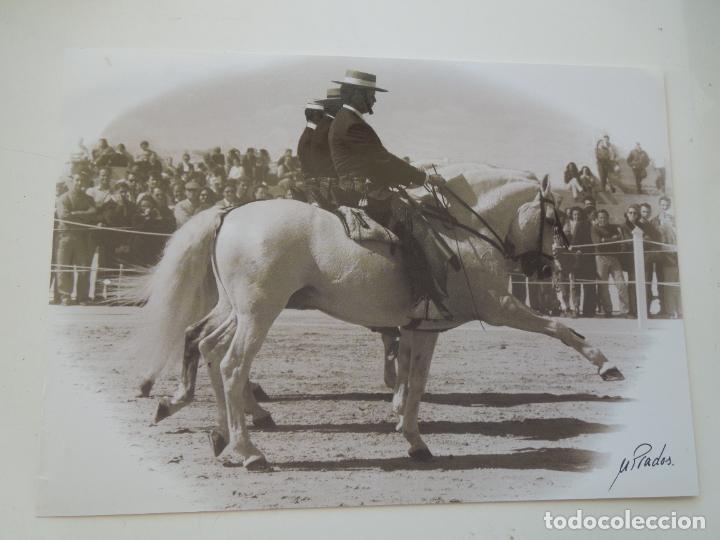 Fotograf&iacute;a antigua: MANUEL PRADOS - FOTOGRAF&Iacute;A CABALLOS Y JINETES - TAURINA - MIDE 28X20 CM.