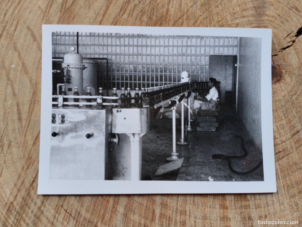 Alte Fotografie: Fotograf&iacute;a antigua de trabajador en cadena de producci&oacute;n de embotellado de Coca-Cola. A&ntilde;os 50-60